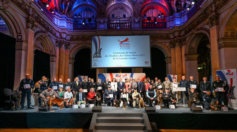24 chiens héroïques récompensés pour leur dévouement
