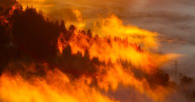 Face aux méga-feux, les sapeurs-pompiers créent une association européenne