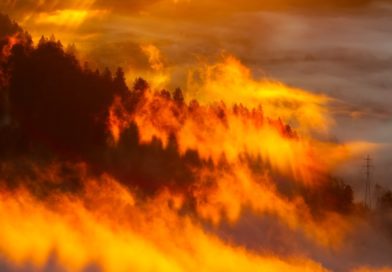 Face aux méga-feux, les sapeurs-pompiers créent une association européenne