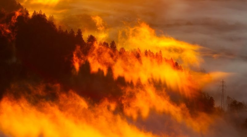 Face aux méga-feux, les sapeurs-pompiers créent une association européenne