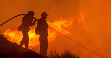 Face à des feux de forêt plus précoces et de grande ampleur, les sapeurs-pompiers réclament davantage de moyens