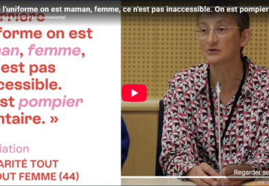 Le Conseil économique, social et environnemental se penche sur le sort des femmes pompiers volontaires